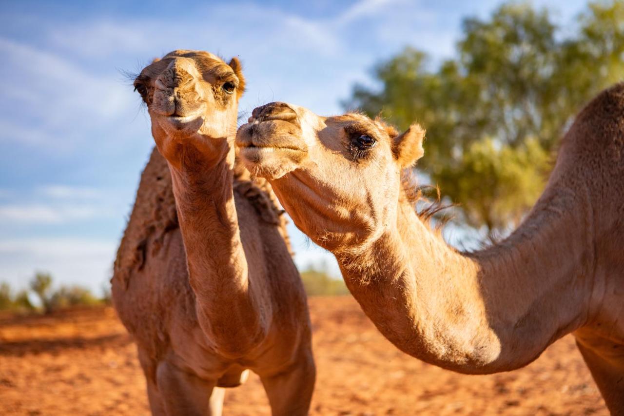 ホテル エルドンダ ロードハウス Ghan エクステリア 写真